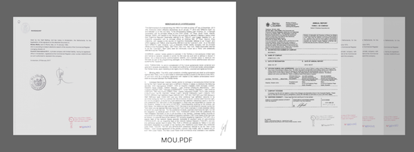 Document Translation Service In Ecuador 9h05 International